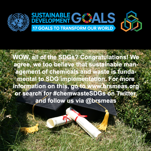 I took the chemicals, wastes and SDGs quiz